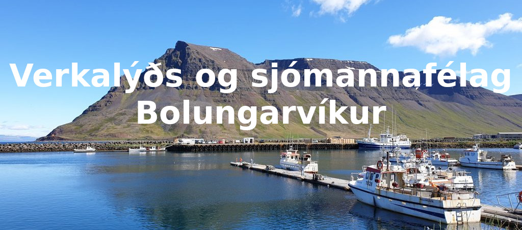 Forsíðumynd